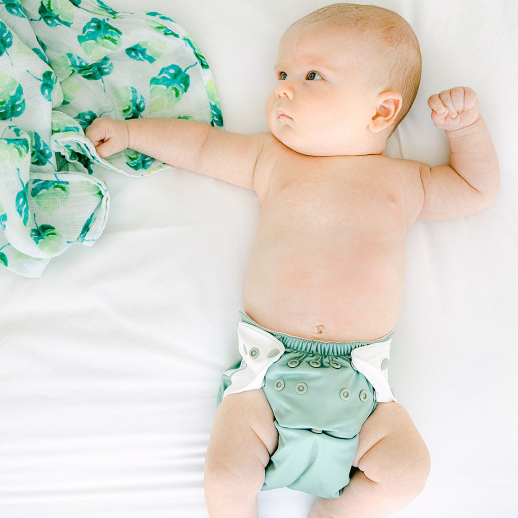 Cloth Diapers - Nature Collection Single Diaper Set + Inserts | Cloth Diapers | Just Peachy
