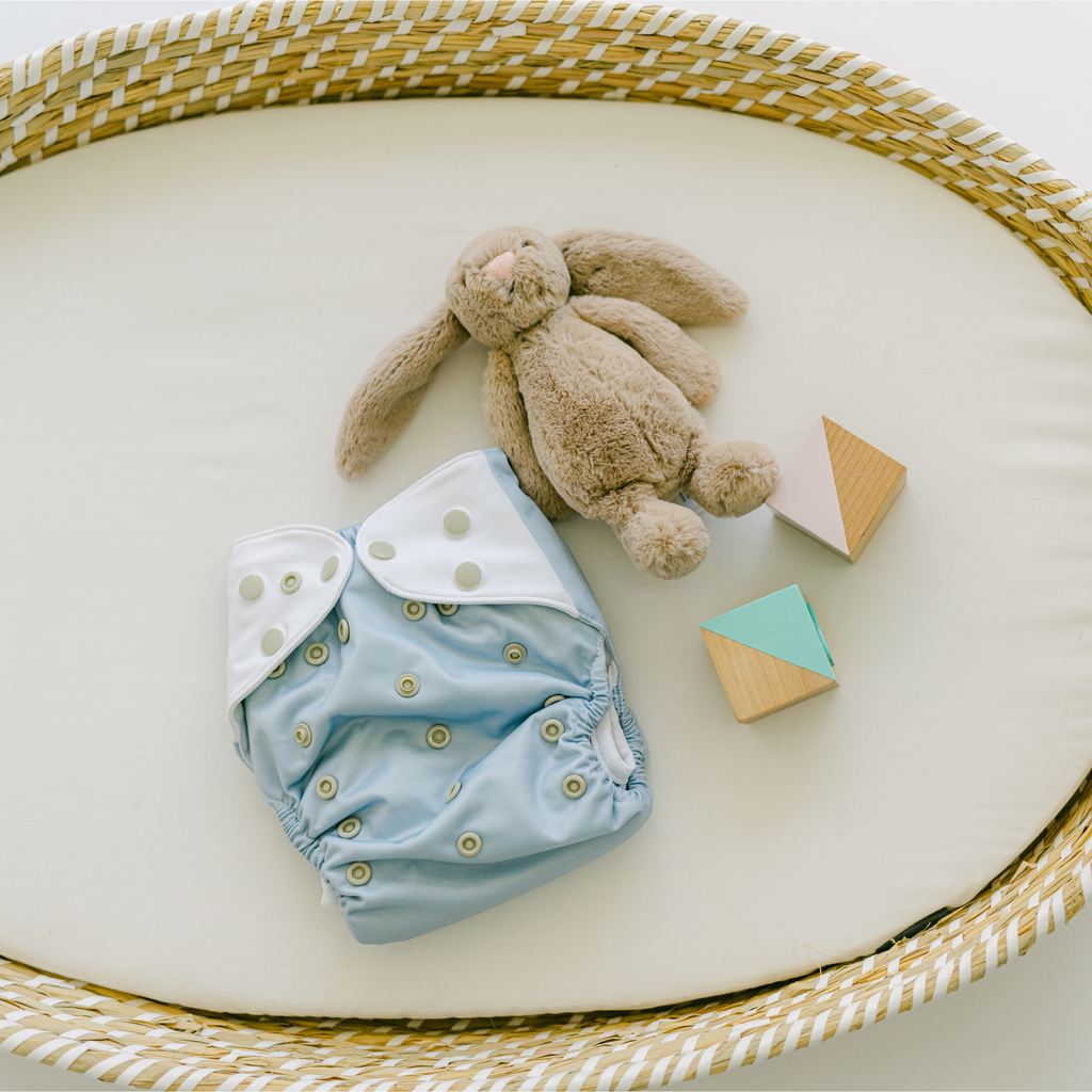 Cloth Diapers - Nature Collection Single Diaper Set + Inserts | Cloth Diapers | Just Peachy