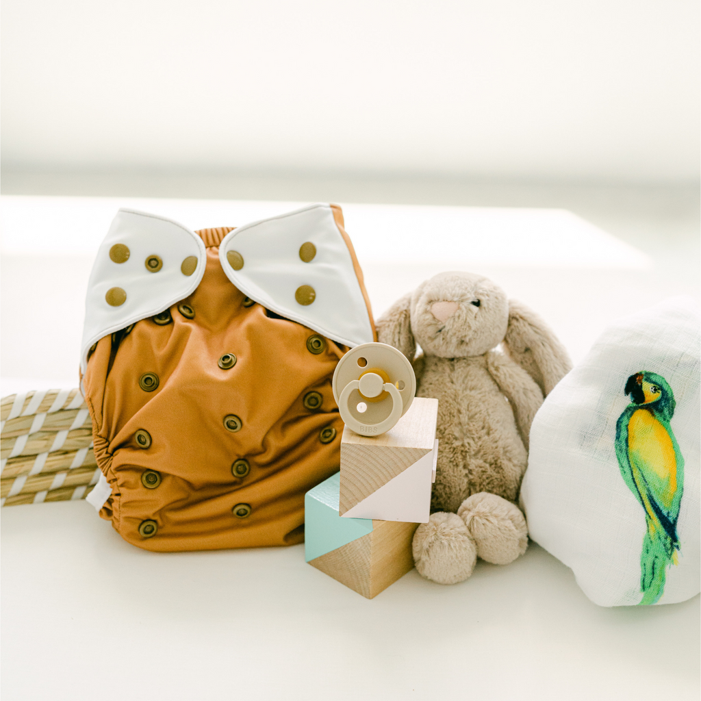 Cloth Diapers - Nature Collection Single Diaper Set + Inserts | Cloth Diapers | Just Peachy