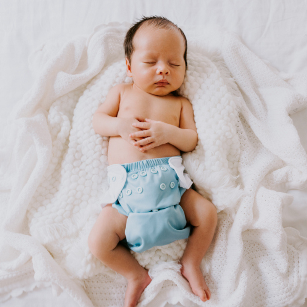 Cloth Diapers - Classic Collection - Single Diaper Set + Inserts | Cloth Diapers | Just Peachy