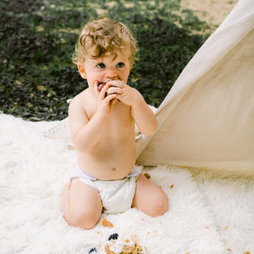 Cloth Diapers - Classic Collection - Single Diaper Set + Inserts | Cloth Diapers | Just Peachy