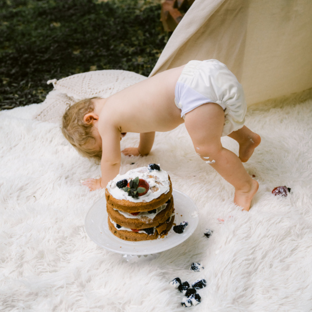 Cloth Diapers - Classic Collection - Single Diaper Set + Inserts | Cloth Diapers | Just Peachy