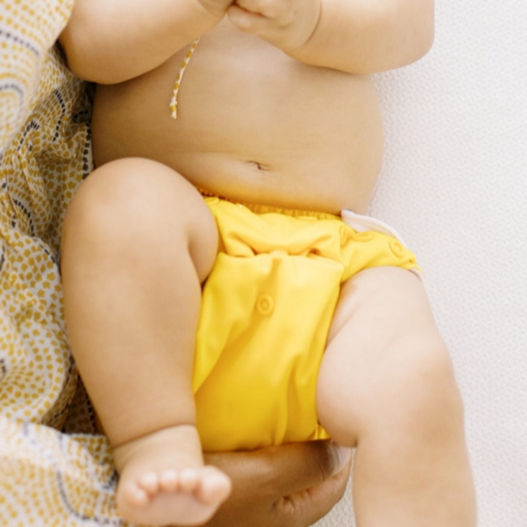 Cloth Diapers - Classic Collection - Single Diaper Set + Inserts | Cloth Diapers | Just Peachy