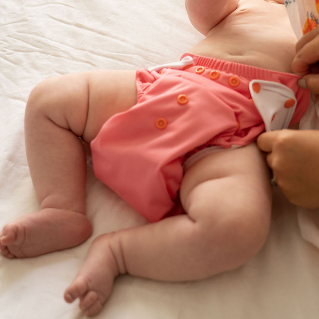 Cloth Diapers - Classic Collection - Single Diaper Set + Inserts | Cloth Diapers | Just Peachy