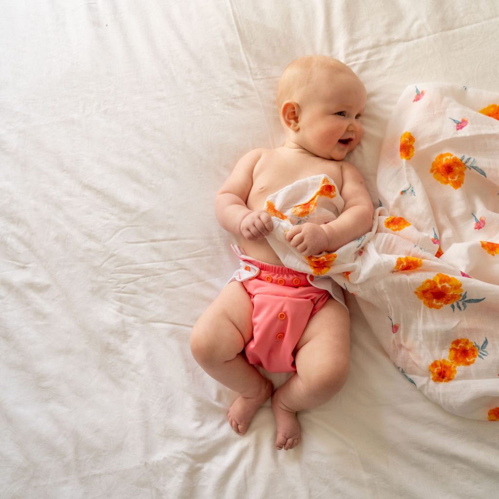 Cloth Diapers - Classic Collection - Single Diaper Set + Inserts | Cloth Diapers | Just Peachy