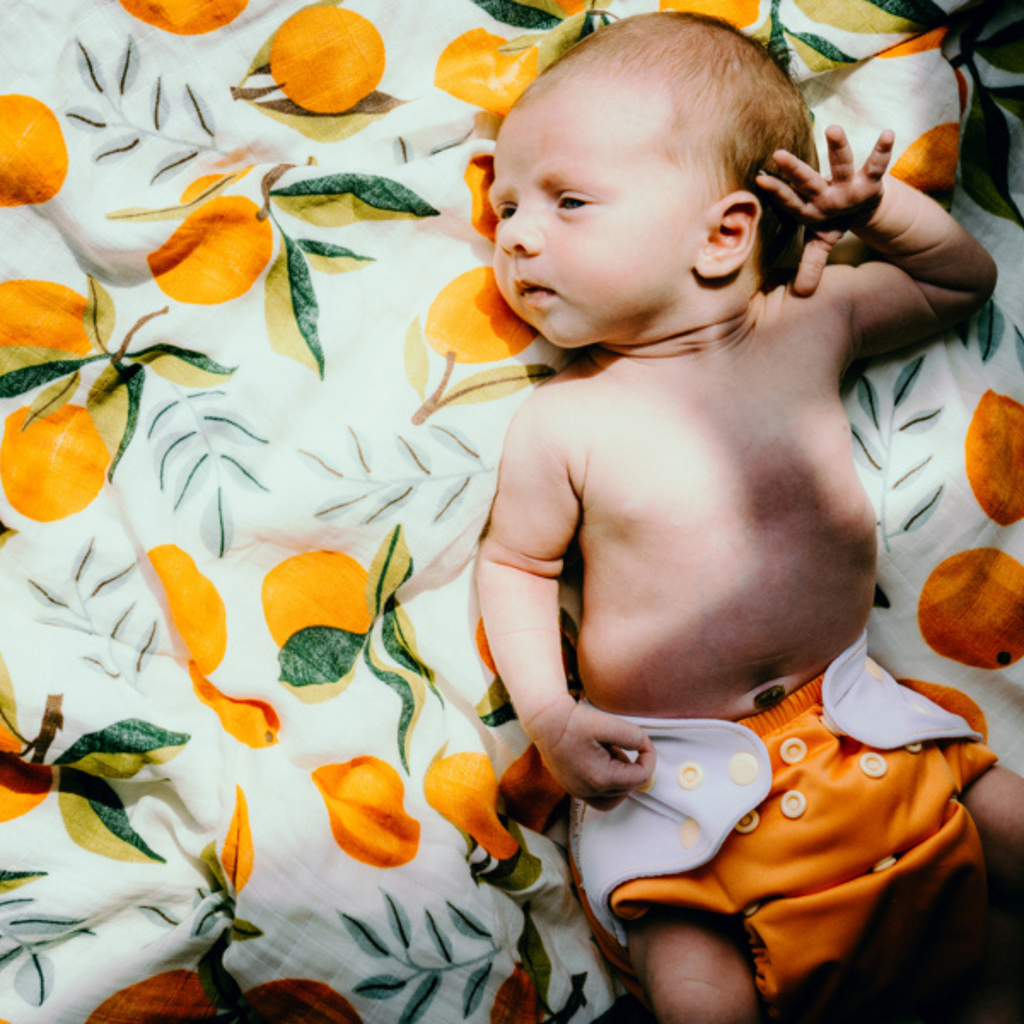 Cloth Diapers - Classic Collection - Single Diaper Set + Inserts | Cloth Diapers | Just Peachy