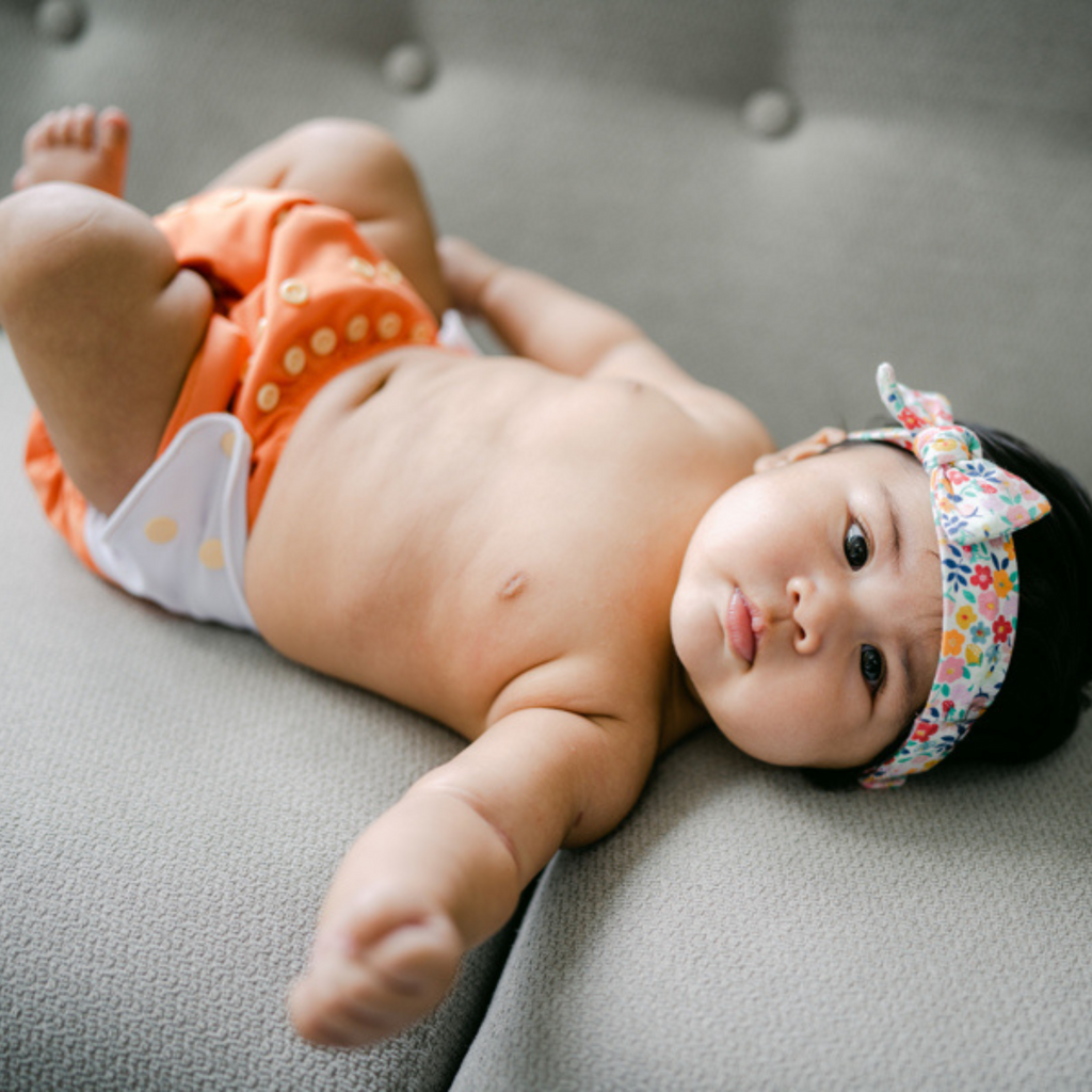 Cloth Diapers - Classic Collection - Single Diaper Set + Inserts | Cloth Diapers | Just Peachy