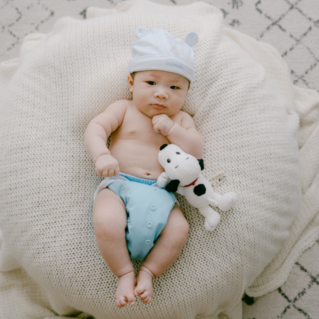 Cloth Diapers - Classic Collection - Single Diaper Set + Inserts | Cloth Diapers | Just Peachy