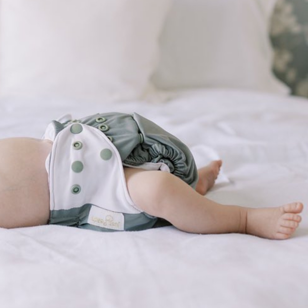 Cloth Diapers - Classic Collection - Single Diaper Set + Inserts | Cloth Diapers | Just Peachy