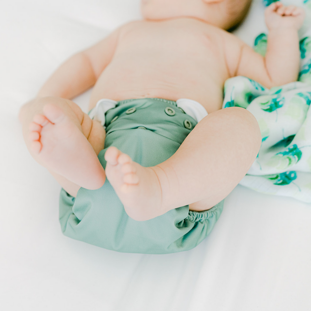 Cloth Diapers - Nature Collection - Single Diaper Set + Inserts | Cloth Diapers | Just Peachy