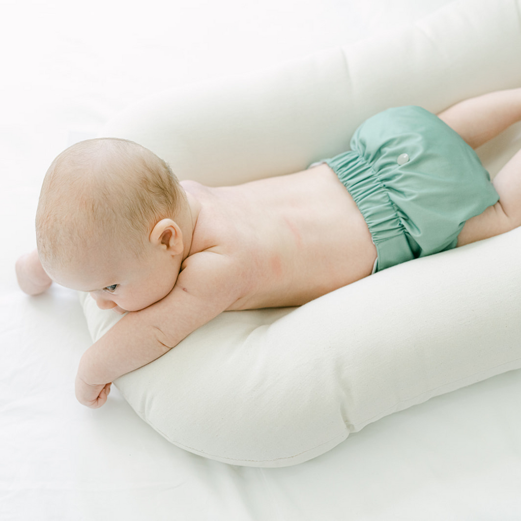 Cloth Diapers - Nature Collection - Single Diaper Set + Inserts | Cloth Diapers | Just Peachy
