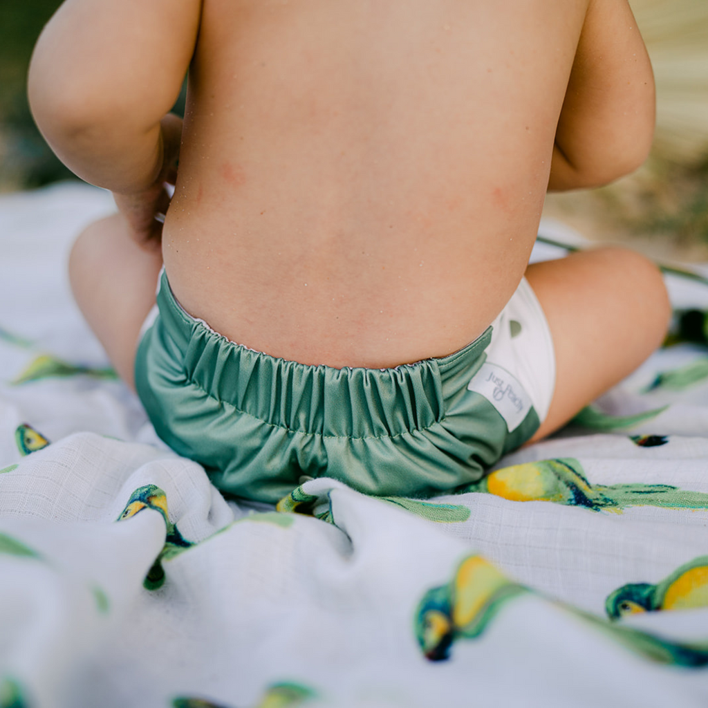 Cloth Diapers - Nature Collection - Single Diaper Set + Inserts | Cloth Diapers | Just Peachy