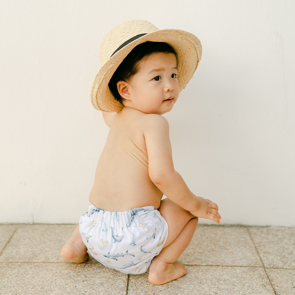 Cloth Diapers - Nature Collection - Single Diaper Set + Inserts | Cloth Diapers | Just Peachy